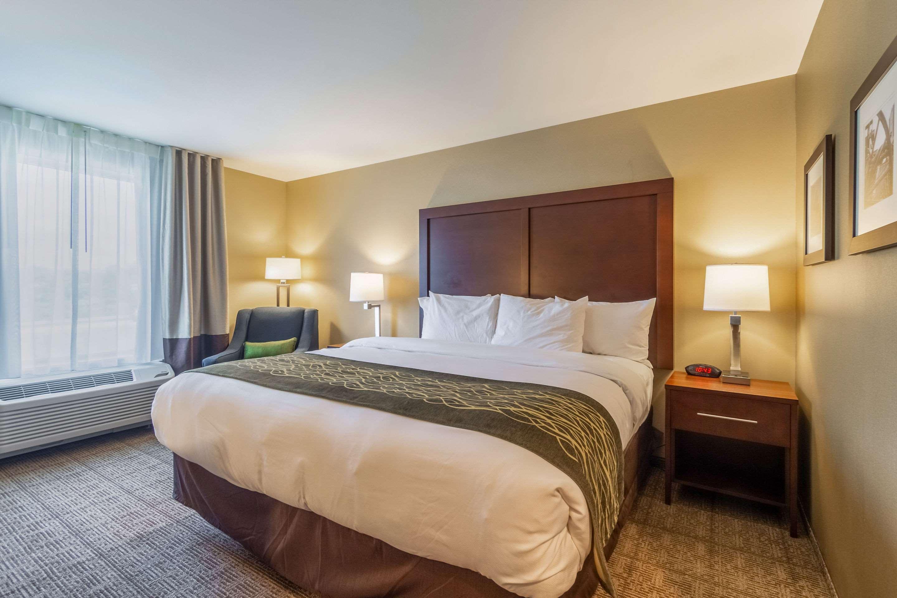 Comfort Inn & Suites - Harrisburg Airport - Hershey South Middletown  Eksteriør billede