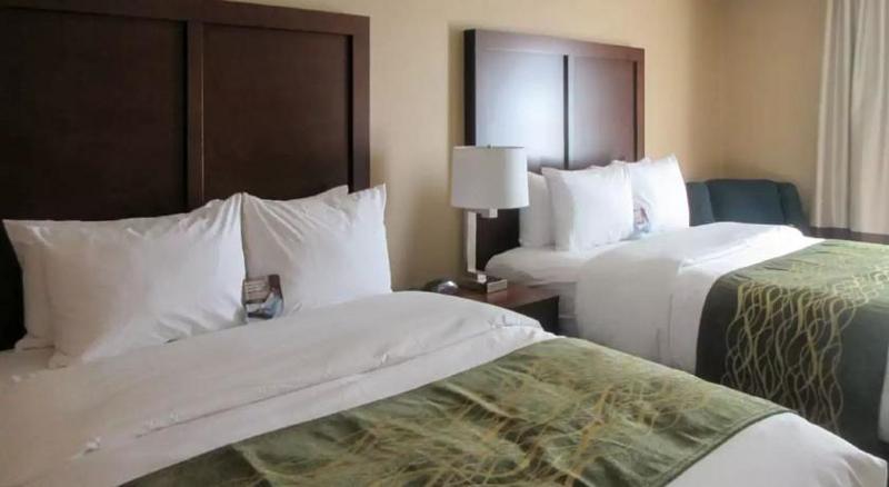 Comfort Inn & Suites - Harrisburg Airport - Hershey South Middletown  Eksteriør billede